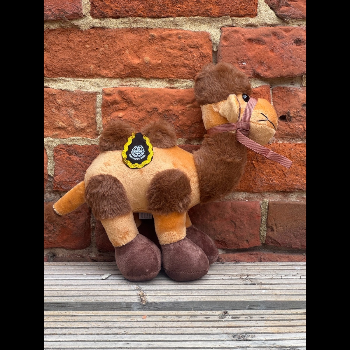 Gordon's Soft Toy Camel